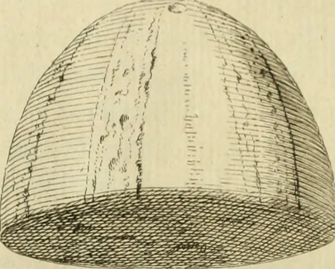 An illustration from Histoire de l'Académie royale des inscriptions et belles lettres, depuis son establissement jusqu'à présent : Avec les Mémoires de littérature tirez des registres de cette Académie depuis son renouvellement jusqu'en 1710, 1736, leaf 525
