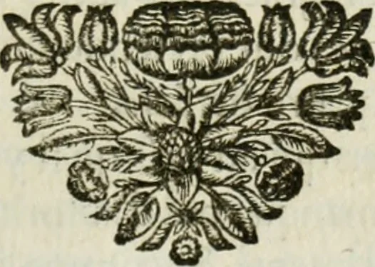 An illustration from Histoire de l'Académie royale des inscriptions et belles lettres, depuis son establissement jusqu'à présent : Avec les Mémoires de littérature tirez des registres de cette Académie depuis son renouvellement jusqu'en 1710, 1736, leaf 382