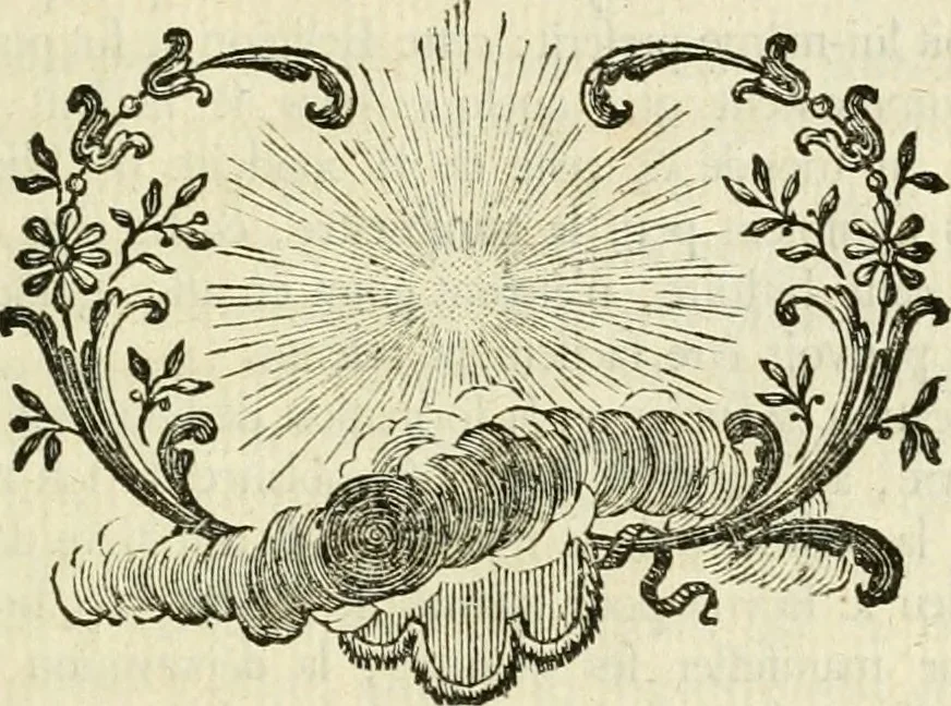 An illustration from Histoire de l'Académie royale des inscriptions et belles lettres, depuis son establissement jusqu'à présent : Avec les Mémoires de littérature tirez des registres de cette Académie depuis son renouvellement jusqu'en 1710, 1736, leaf 612