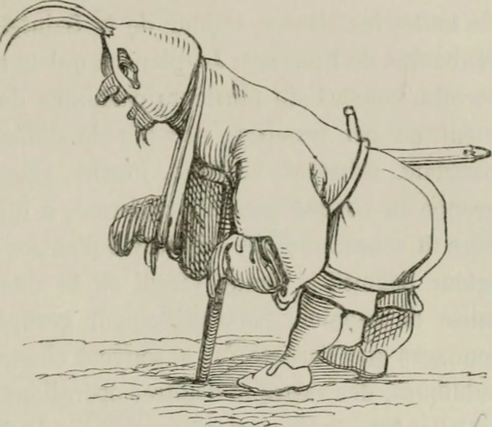 An illustration from Histoire de la caricature et du grotesque dans la littérature et dans l'art, 1875, leaf 314