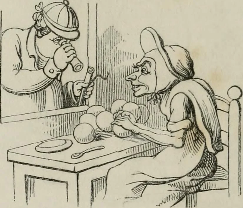 An illustration from Histoire de la caricature et du grotesque dans la littérature et dans l'art, 1875, leaf 473