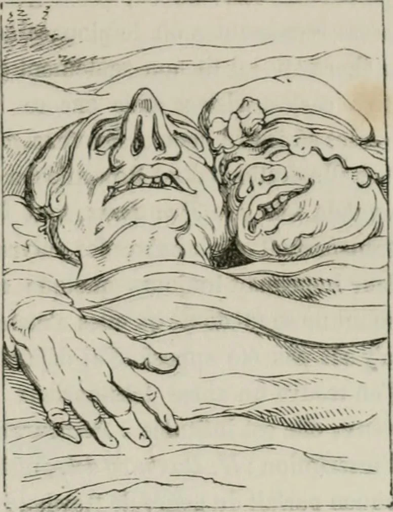 An illustration from Histoire de la caricature et du grotesque dans la littérature et dans l'art, 1875, leaf 482