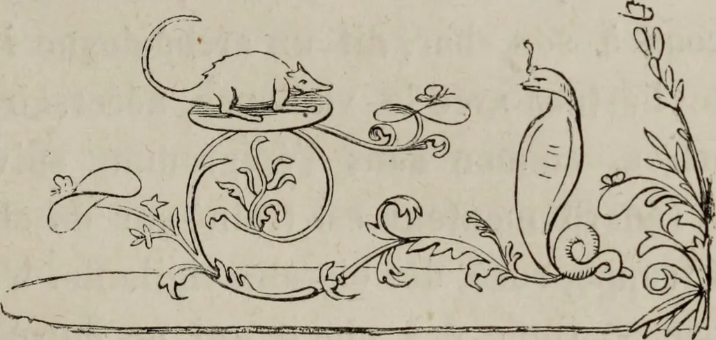 An illustration from Histoire de la caricature antique, 1867, leaf 111