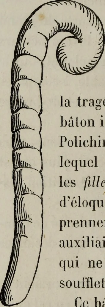 An illustration from Histoire de la caricature antique, 1867, leaf 266