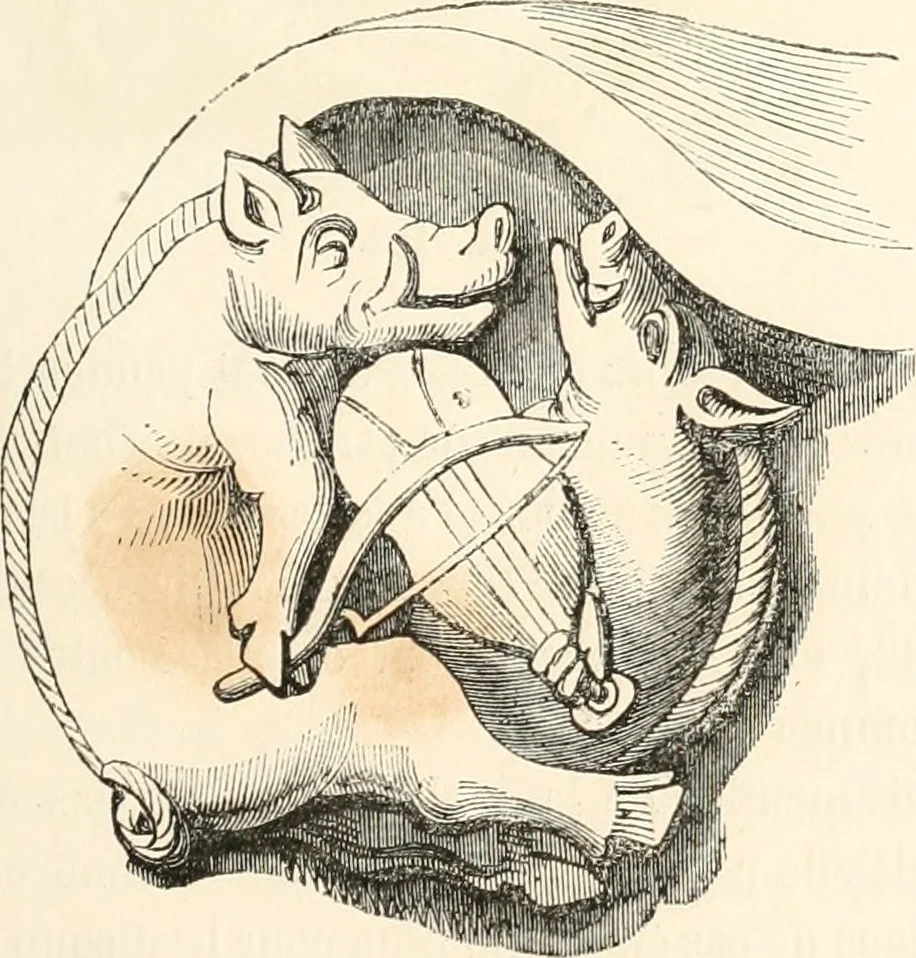 An illustration from Histoire de la caricature et du grotesque dans la littérature et dans l'art, 1875, leaf 212