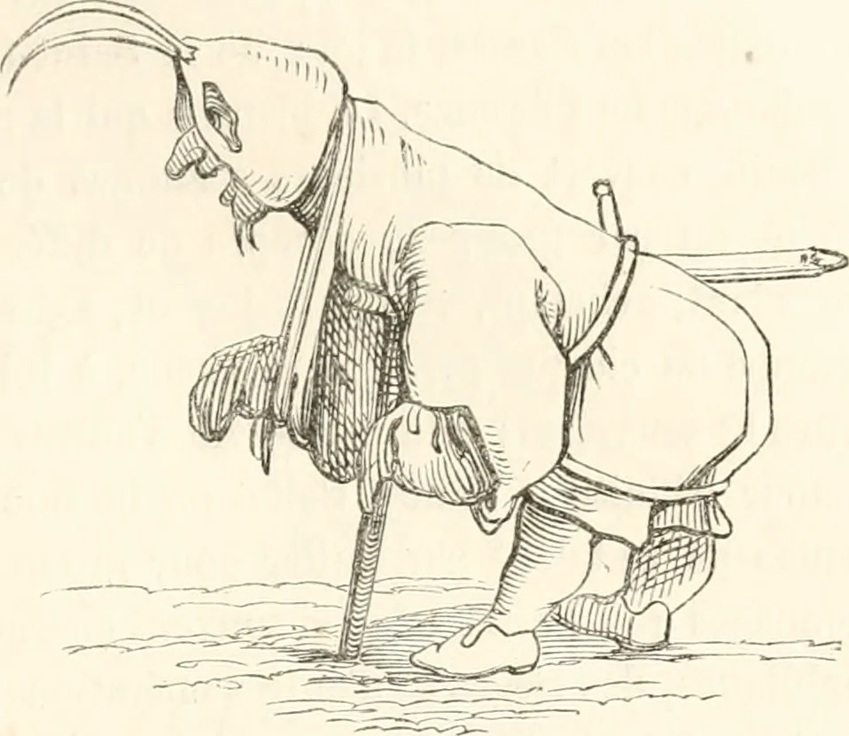 An illustration from Histoire de la caricature et du grotesque dans la littérature et dans l'art, 1875, leaf 314