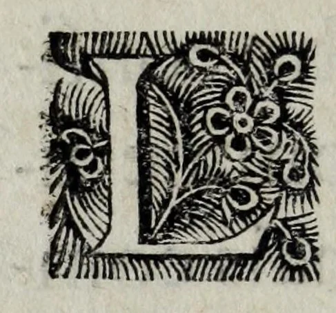 An illustration from Histoire de la conqueste de la Floride, par les espagnols, sous Ferdinand de Soto, 1685, leaf 18