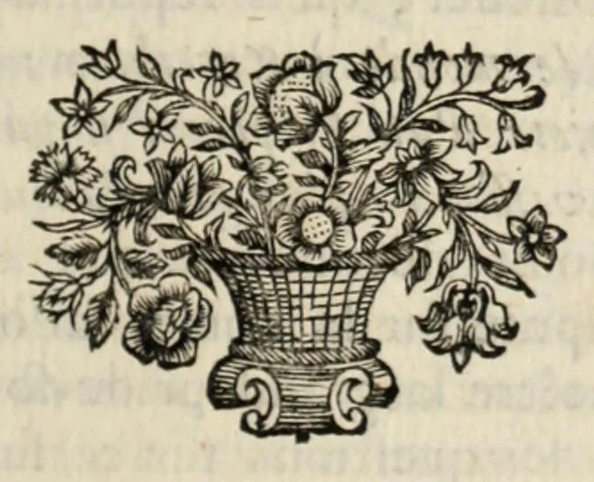 An illustration from Histoire de la conquête du Mexique, ou, de la Nouvelle Espagne, 1691, leaf 199