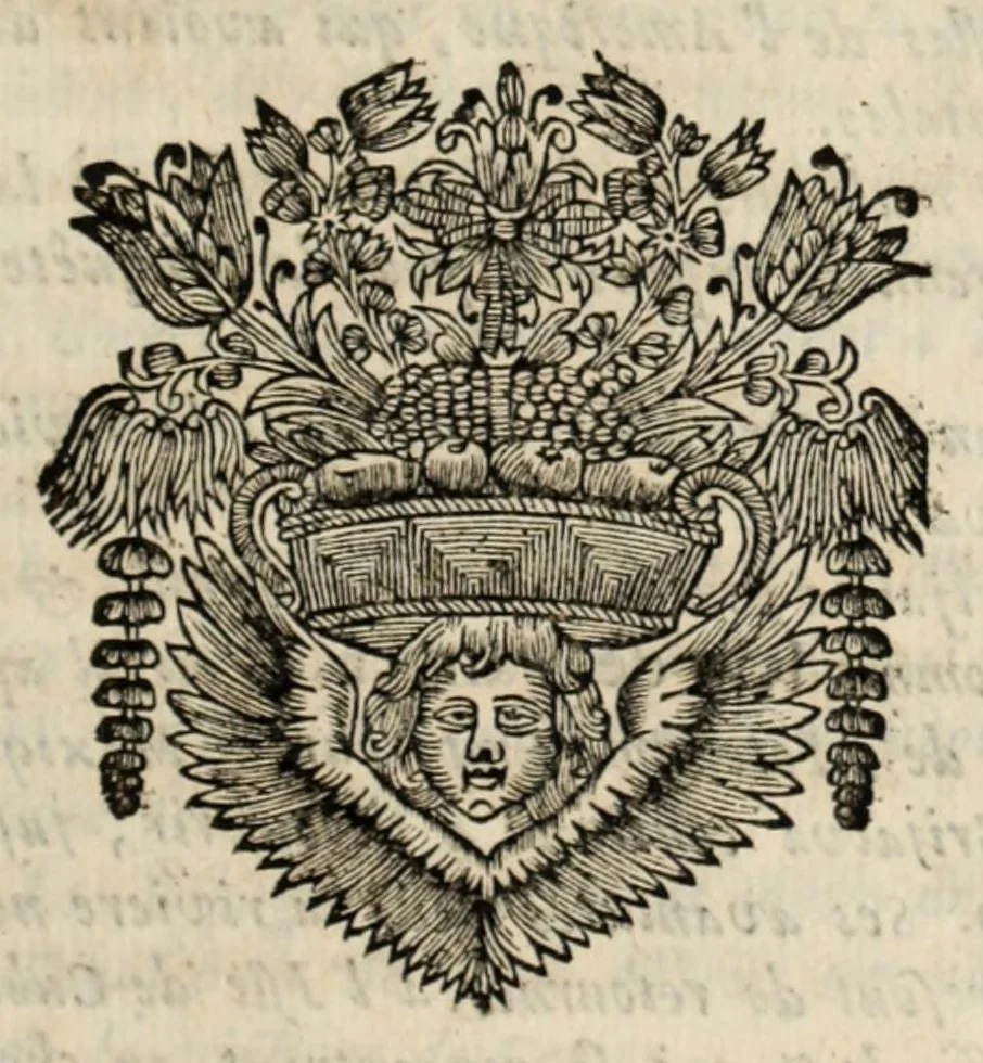 An illustration from Histoire de la conquête du Mexique, ou, de la Nouvelle Espagne, 1691, leaf 23