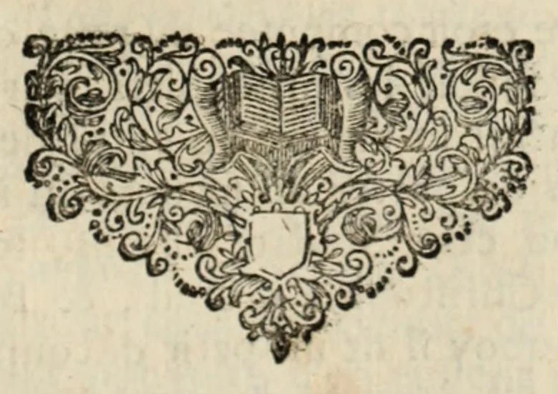 An illustration from Histoire de la conquête du Mexique, ou, de la Nouvelle Espagne, 1691, leaf 507