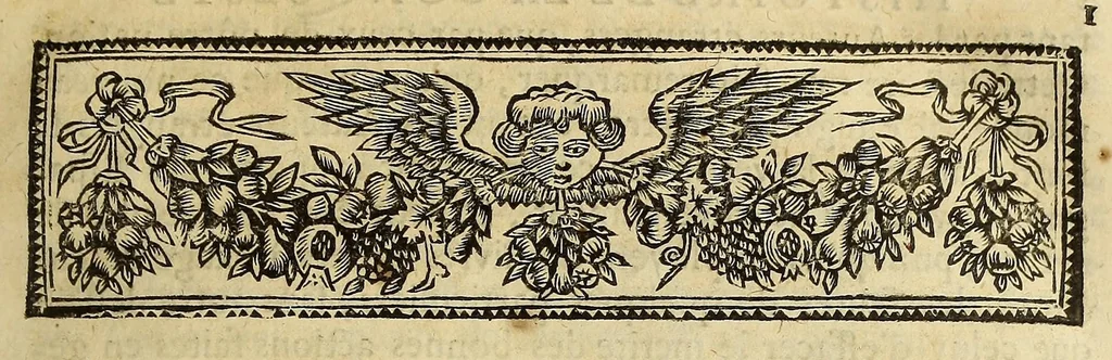 An illustration from Histoire de la conquête du Mexique, ou de la Nouvelle Espagne., 1691, leaf 39