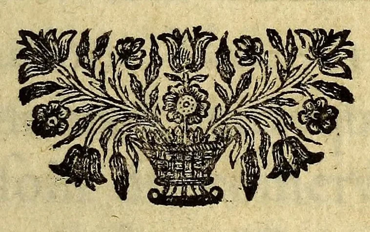 An illustration from Histoire de la conqueste de la Floride, par les Espagnols, sous Ferdinand de Soto. : Ecrite en portugais par un gentil-homme de la ville d'Elvas., 1685, leaf 7