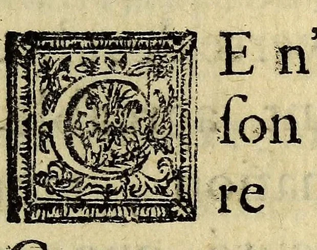 An illustration from Histoire de la conqueste de la Floride, par les Espagnols, sous Ferdinand de Soto. : Ecrite en portugais par un gentil-homme de la ville d'Elvas., 1685, leaf 9