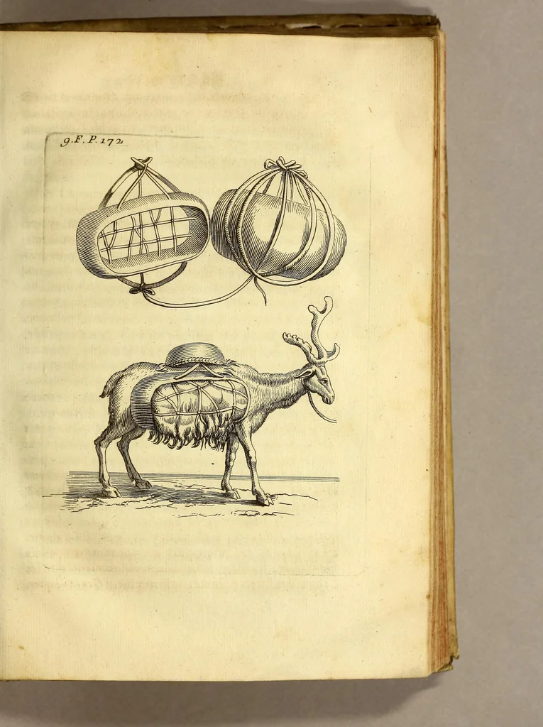 An illustration from Histoire de la Laponie, : sa description, l'origine, les moeurs, la maniere de vivre de ses habitans, leur religion, leur magie, & les choses rares du païs. Avec plusieurs additions & augmentations fort curieuses, qui jusques-icy n'ont pas esté imprimées., 1678, leaf 239