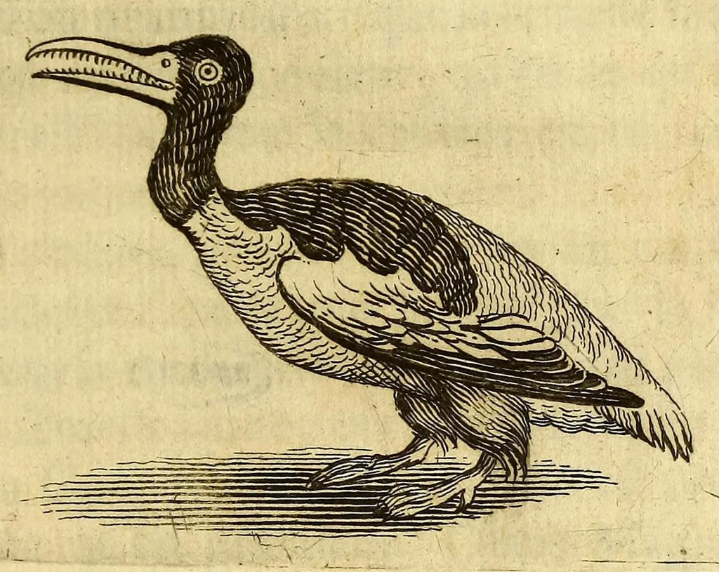 An illustration from Histoire de la Laponie, : sa description, l'origine, les moeurs, la maniere de vivre de ses habitans, leur religion, leur magie, & les choses rares du païs. Avec plusieurs additions & augmentations fort curieuses, qui jusques-icy n'ont pas esté imprimées., 1678, leaf 409