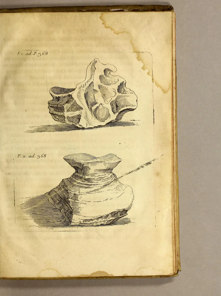 An illustration from Histoire de la Laponie, : sa description, l'origine, les moeurs, la maniere de vivre de ses habitans, leur religion, leur magie, & les choses rares du païs. Avec plusieurs additions & augmentations fort curieuses, qui jusques-icy n'ont pas esté imprimées., 1678, leaf 457