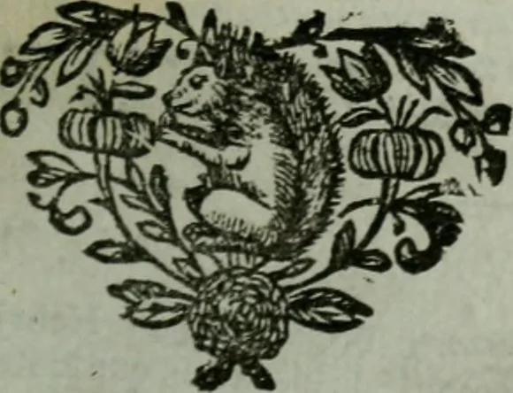 An illustration from Histoire de la Lique, 1684, leaf 404