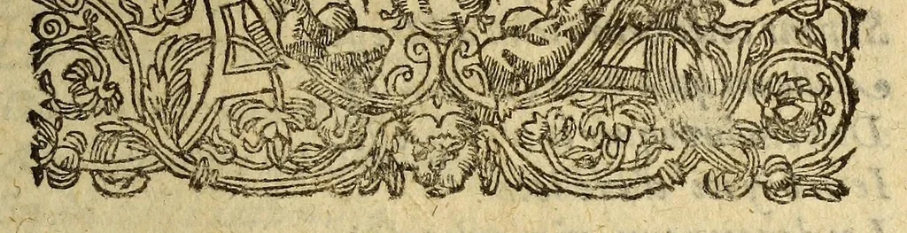 An illustration from Histoire de la Nouuelle France : contenat les navigations, dećouvertes, & habitations faites par les François és Indes Occidentales & Nouvelle-France ... : avec les tables & figures necessaires., 1618, leaf 11