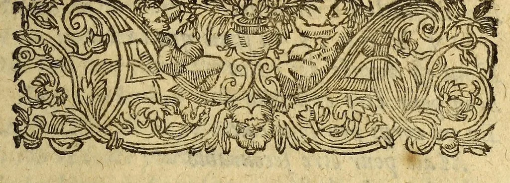 An illustration from Histoire de la Nouuelle France : contenat les navigations, dećouvertes, & habitations faites par les François és Indes Occidentales & Nouvelle-France ... : avec les tables & figures necessaires., 1618, leaf 45