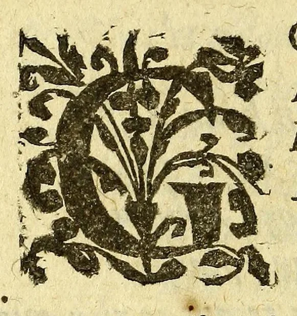 An illustration from Histoire de la Nouuelle France : contenat les navigations, dećouvertes, & habitations faites par les François és Indes Occidentales & Nouvelle-France ... : avec les tables & figures necessaires., 1618, leaf 54