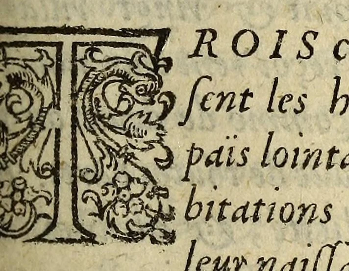 An illustration from Histoire de la Nouvelle France : contenat les navigations, découvertes, & habitations faites par les Fançois és Indes Occidentales & Nouvelle-France ... avec les tables & figures d'icelle., 1611, leaf 203