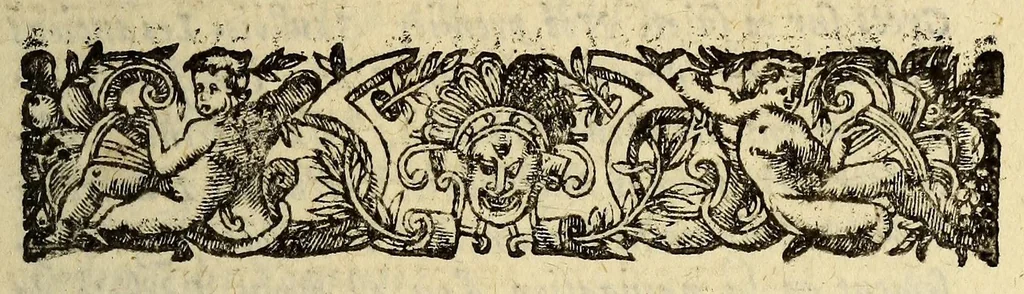 An illustration from Histoire de la Nouvelle France : contenat les navigations, découvertes, & habitations faites par les Fançois és Indes Occidentales & Nouvelle-France ... avec les tables & figures d'icelle., 1611, leaf 25