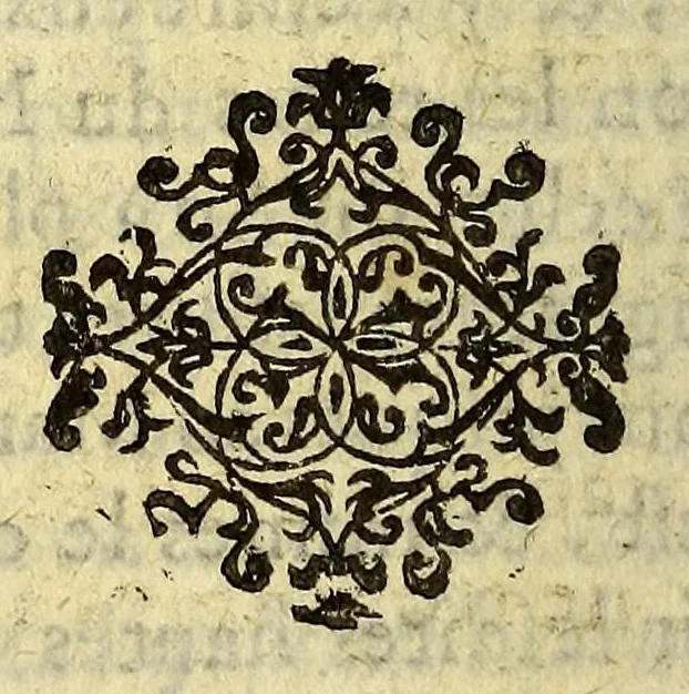 An illustration from Histoire de la Nouvelle France : contenat les navigations, découvertes, & habitations faites par les Fançois és Indes Occidentales & Nouvelle-France ... avec les tables & figures d'icelle., 1611, leaf 352
