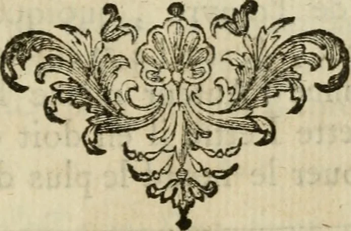 An illustration from Histoire de la philosophie hermetique : accompagnée d'un catalogue raisonné des ecrivains de cette science : avec le véritable Philalethe, revû sur les originaux, 1742, leaf 452