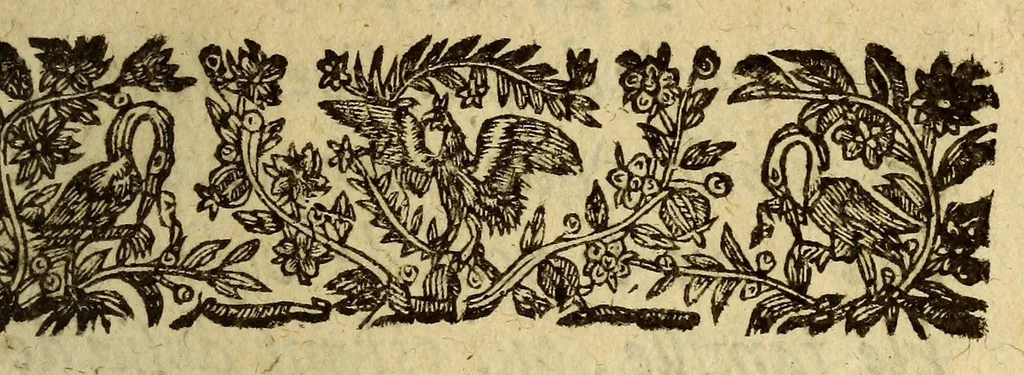 An illustration from Histoire de la premiere descouuerte et conqueste des Canaries. : Faite dés l'an 1402. par messire Iean de Bethencourt, chambellan du Roy Charles VI., 1630, leaf 9
