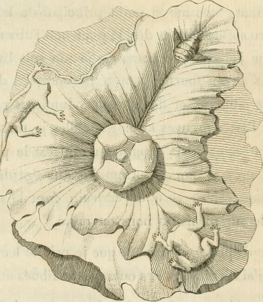 An illustration from Histoire de l'art chez les anciens, 1793, leaf 531