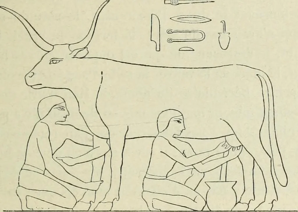An illustration from Histoire de l'art dans l'antiquité: Égypte, Assyrie, Perse, Asie Mineure, Grece, Etrurie, Rome, 1882, leaf 128