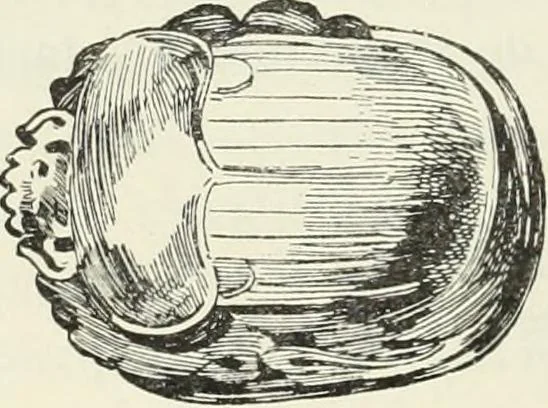 An illustration from Histoire de l'art dans l'antiquité: Égypte, Assyrie, Perse, Asie Mineure, Grece, Etrurie, Rome, 1882, leaf 257