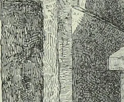 An illustration from Histoire de l'art dans l'antiquité: Égypte, Assyrie, Perse, Asie Mineure, Grece, Etrurie, Rome, 1882, leaf 408
