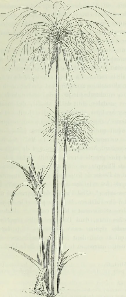 An illustration from Histoire de l'art dans l'antiquité: Égypte, Assyrie, Perse, Asie Mineure, Grece, Etrurie, Rome, 1882, leaf 684
