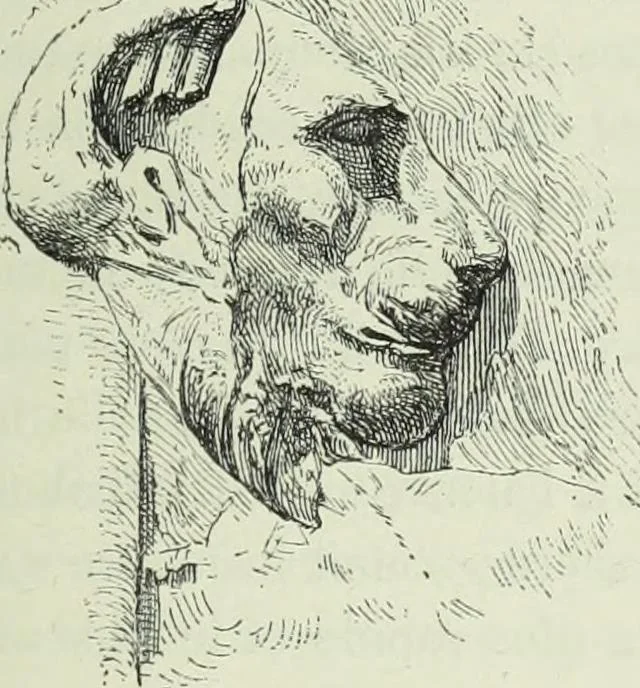 An illustration from Histoire de l'art dans l'antiquité: Égypte, Assyrie, Perse, Asie Mineure, Grece, Etrurie, Rome, 1882, leaf 886