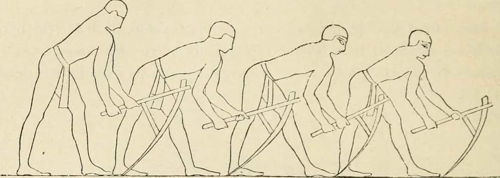 An illustration from Histoire de l'art dans l'antiquité: Égypte, Assyrie, Perse, Asie Mineure, Grece, Etrurie, Rome, 1882, leaf 93