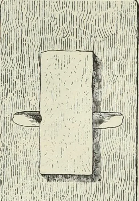 An illustration from Histoire de l'art dans l'antiquité: Égypte, Assyrie, Perse, Asie Mineure, Grece, Etrurie, Rome, 1882, leaf 945