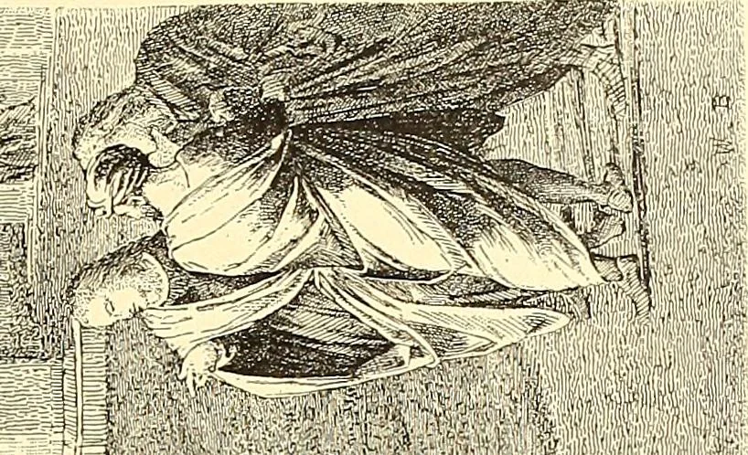 An illustration from Histoire de l'art pendant la renaissance, 1889, leaf 123