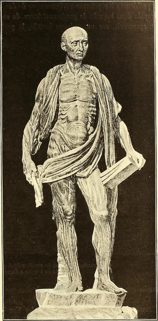 An illustration from Histoire de l'art pendant la renaissance, 1889, leaf 171