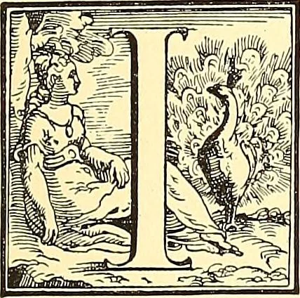 An illustration from Histoire de l'art pendant la renaissance, 1889, leaf 319