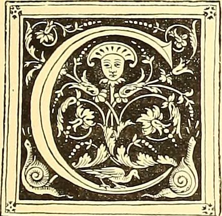 An illustration from Histoire de l'art pendant la renaissance, 1889, leaf 771
