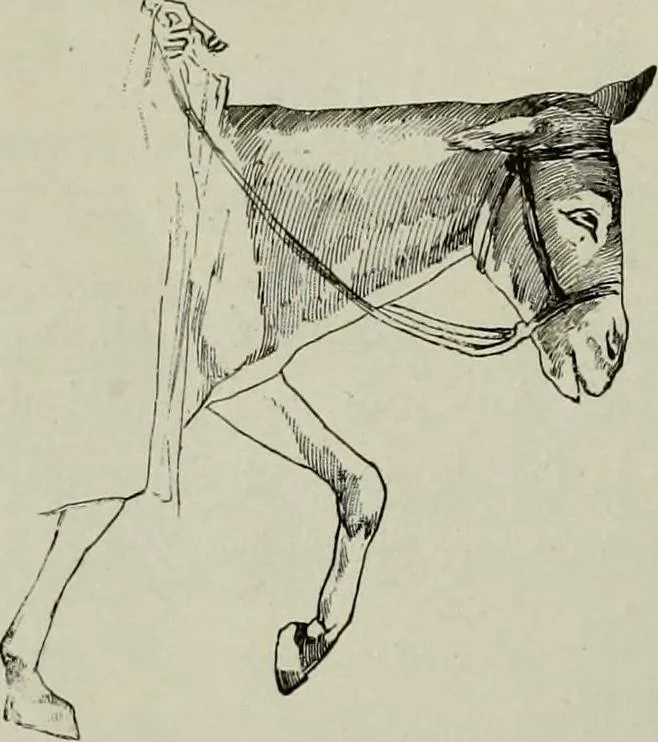 An illustration from Histoire de l'art pendant la Renaissance, 1889, leaf 332