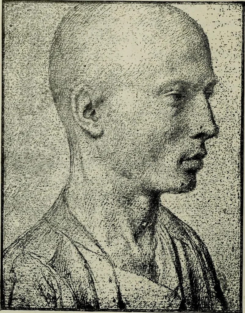 An illustration from Histoire de l'art pendant la Renaissance, 1889, leaf 710