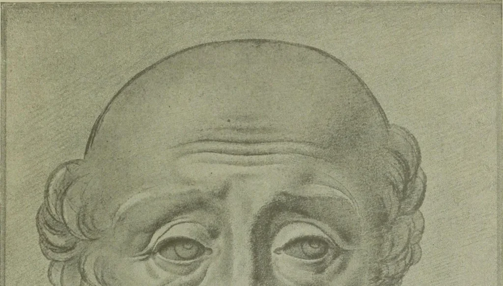 An illustration from Histoire de l'art pendant la Renaissance, 1889, leaf 175