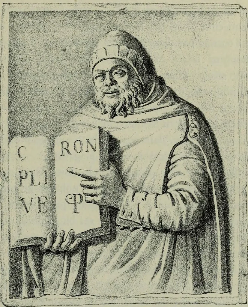 An illustration from Histoire de l'art pendant la Renaissance, 1889, leaf 481