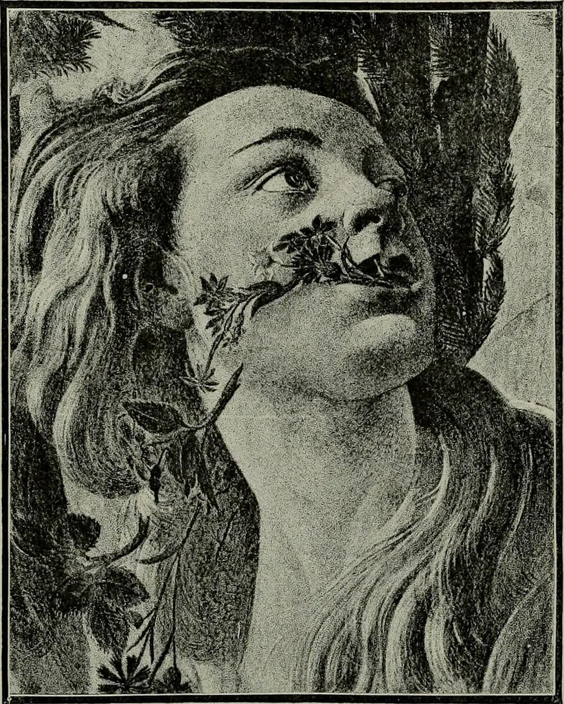 An illustration from Histoire de l'art pendant la Renaissance, 1889, leaf 686