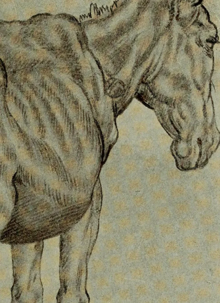 An illustration from Histoire de l'art pendant la Renaissance, 1889, leaf 499