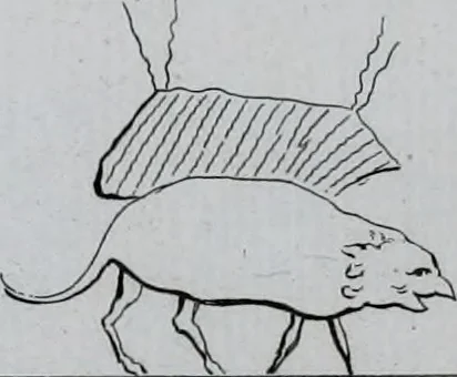 An illustration from Histoire de l'astronomie ancienne, depuis son origine jusqu'à l'établissement de l'école d'Alexandrie, 1775, leaf 558