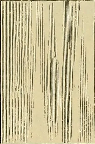 An illustration from Histoire de la verrerie et de l'émaillerie, 1886, leaf 239