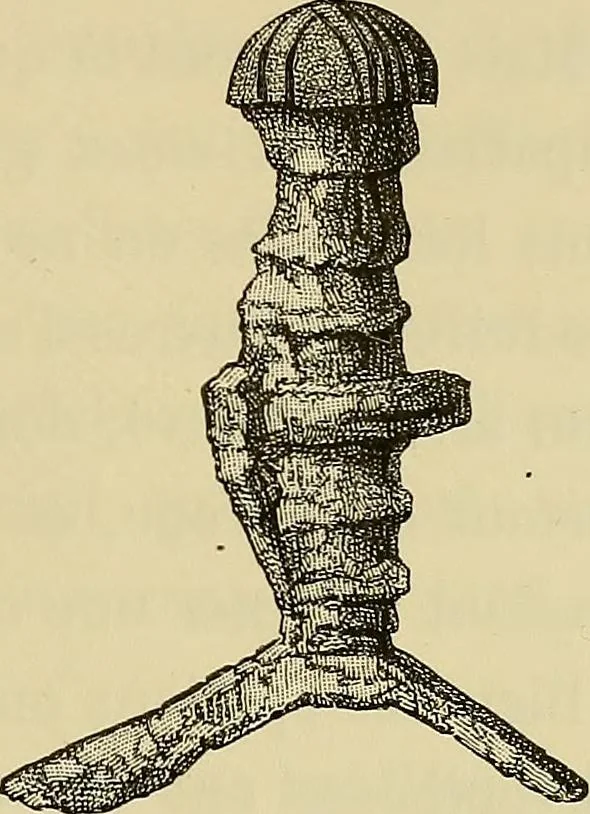 An illustration from Histoire de la verrerie et de l'émaillerie, 1886, leaf 391